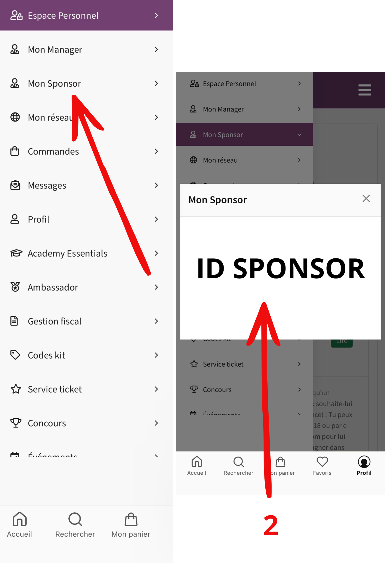 Où trouver l'ID de ton sponsor